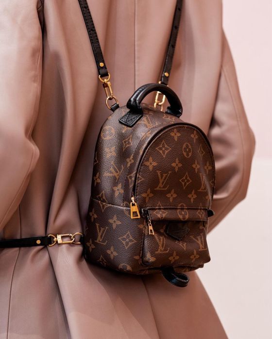Louis Vuitton Palm Springs Mini