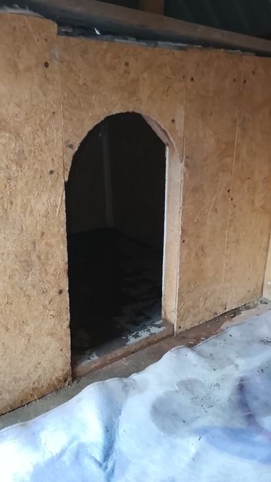 Гарантия жоқ новый