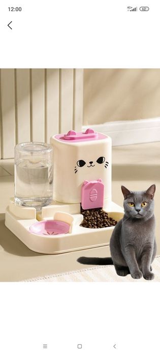 356 jinsiy pozitsiya