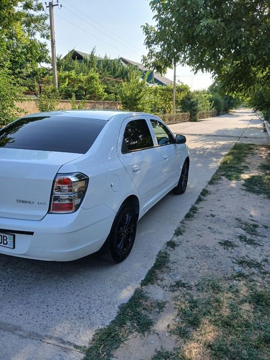 Cobalt mcm midnayt koja salon yili 2026 fevral kraskasi toza 14000 pra