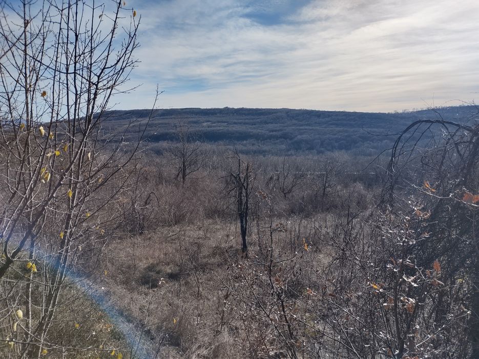 Земеделски имот Шереметя