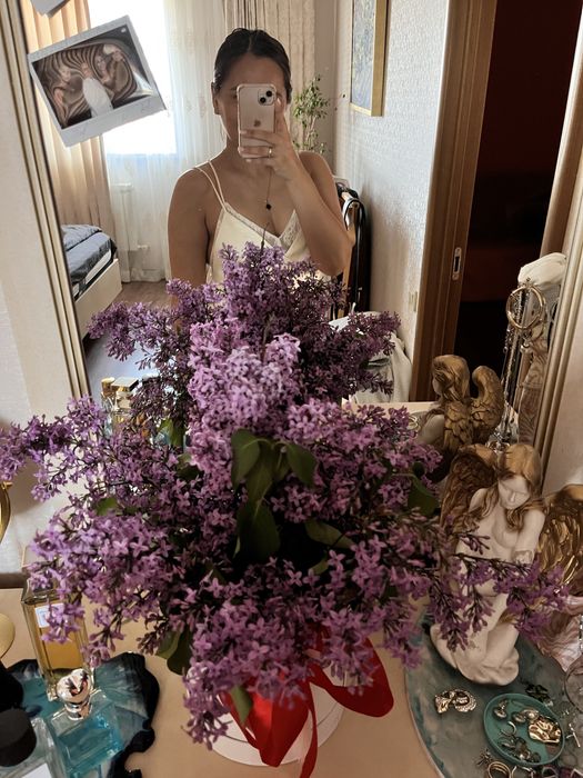 Сирень апрельская