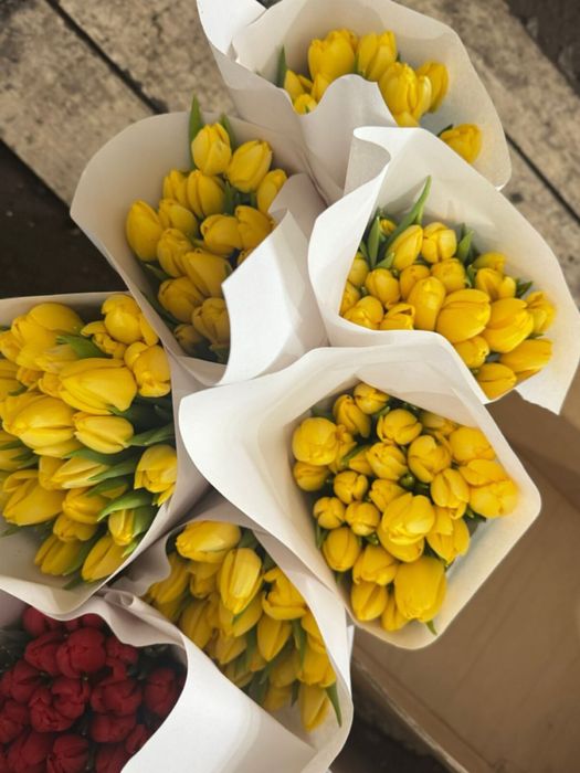 Тюльпаны на 8март