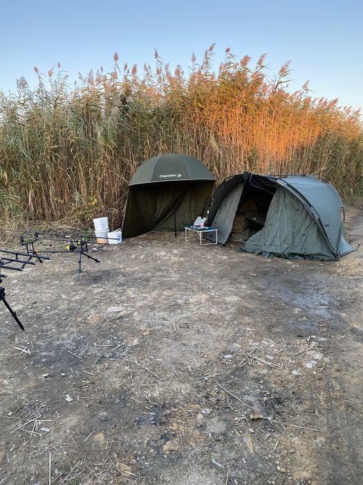 Cort fox royale euro dome 1 man