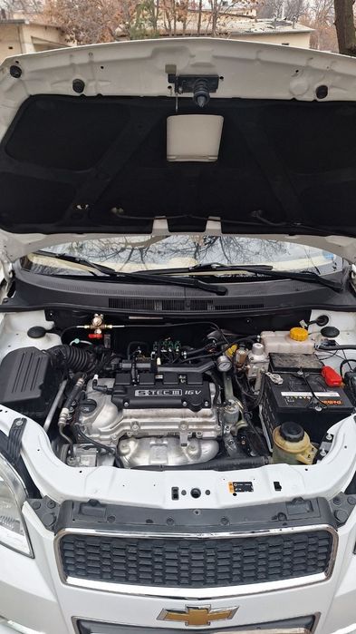 Barcha malumot telda