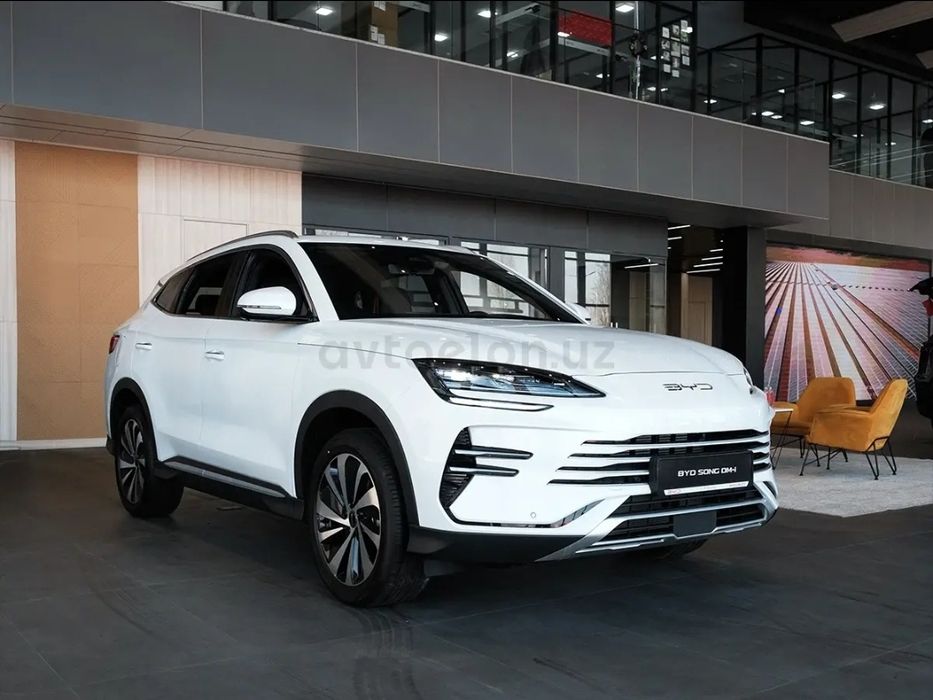 Byd champion gibrit 110km