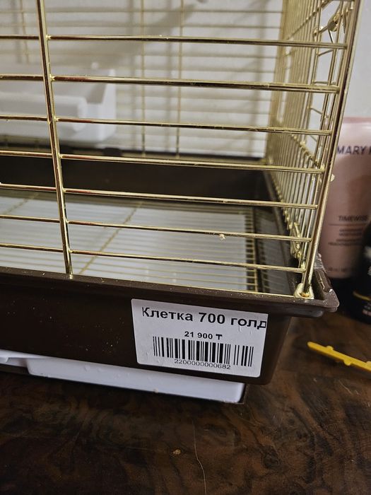 Продам папугая с клеткой