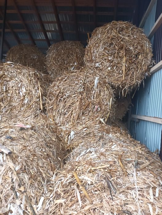 Vând baloți  coceni