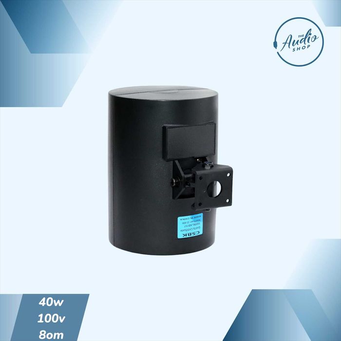 Пассивная настенная колонка для фоновой музыки 40wat