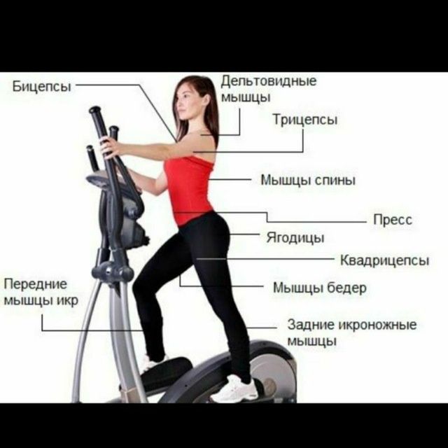 Ремонт тренажеров велотренажеров лыжи элипсоид беговые дорожки ремонт