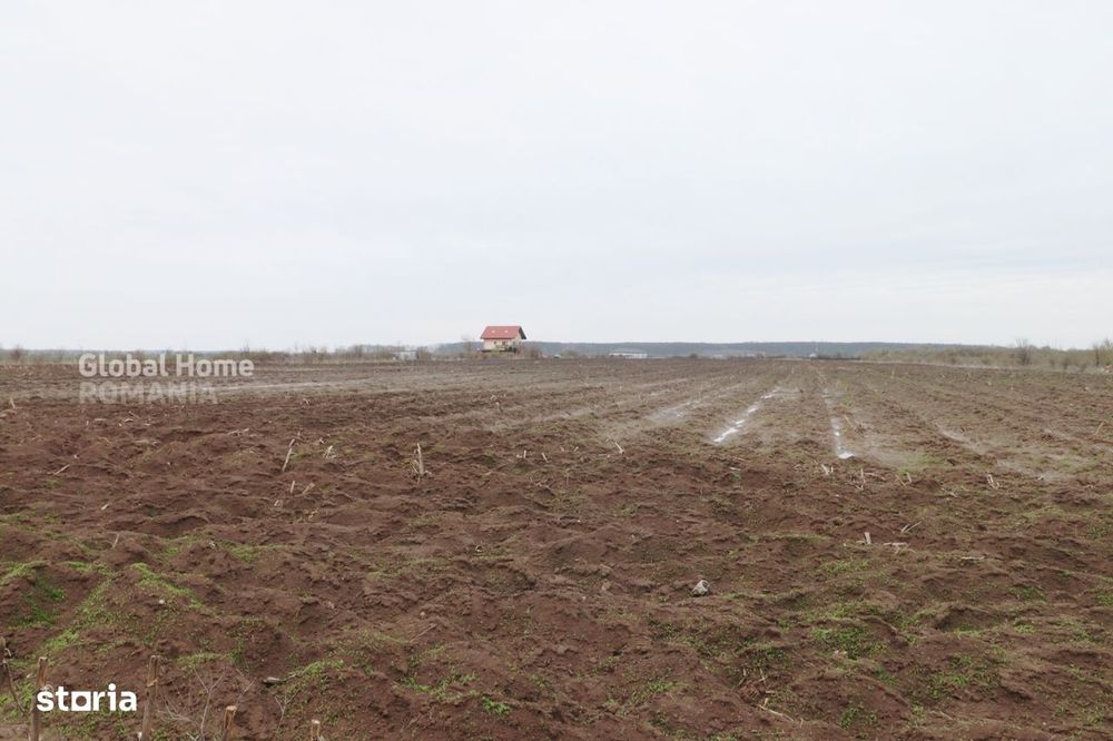 Teren 4000 mp langa Padurea Petresti | Investitie dezvoltare | Corbean