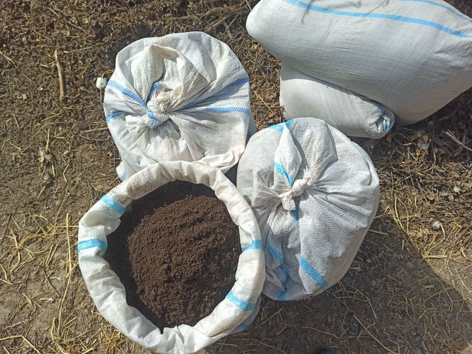 Bio gums anchagina bor telfon raqam