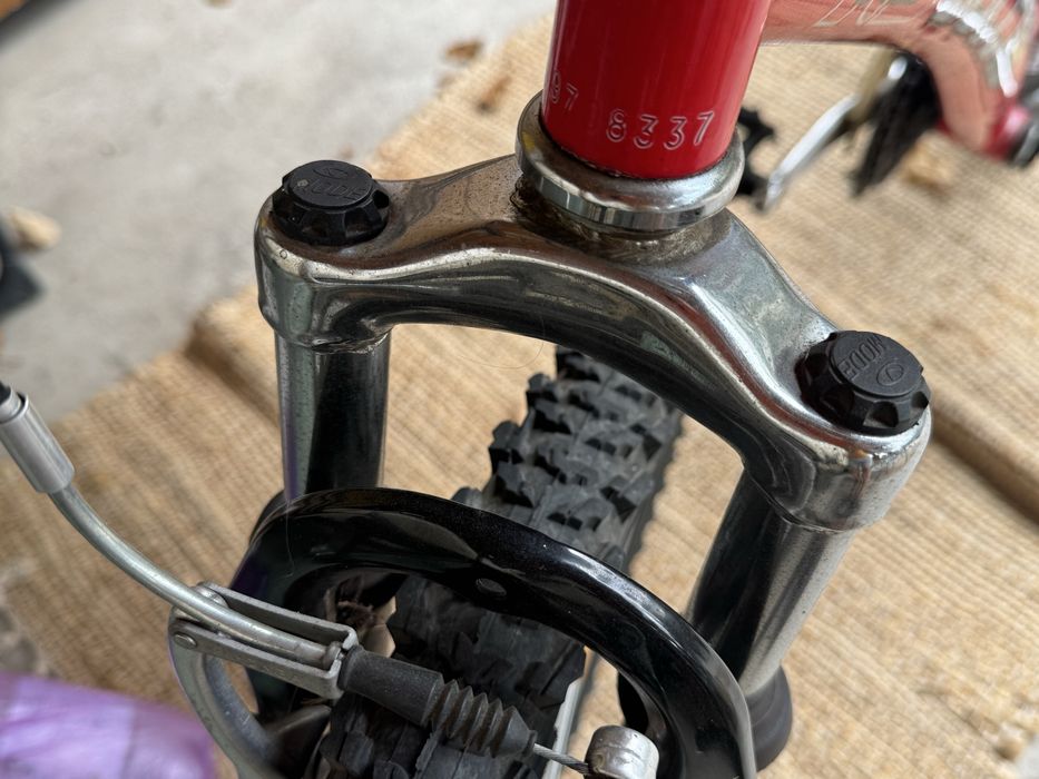 Vand bicicleta DHS editie aniversara
