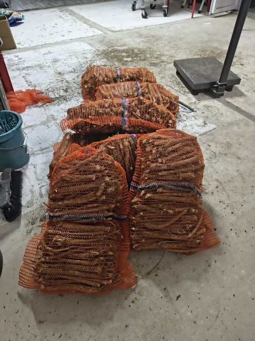 Hrean românesc cultura proprie