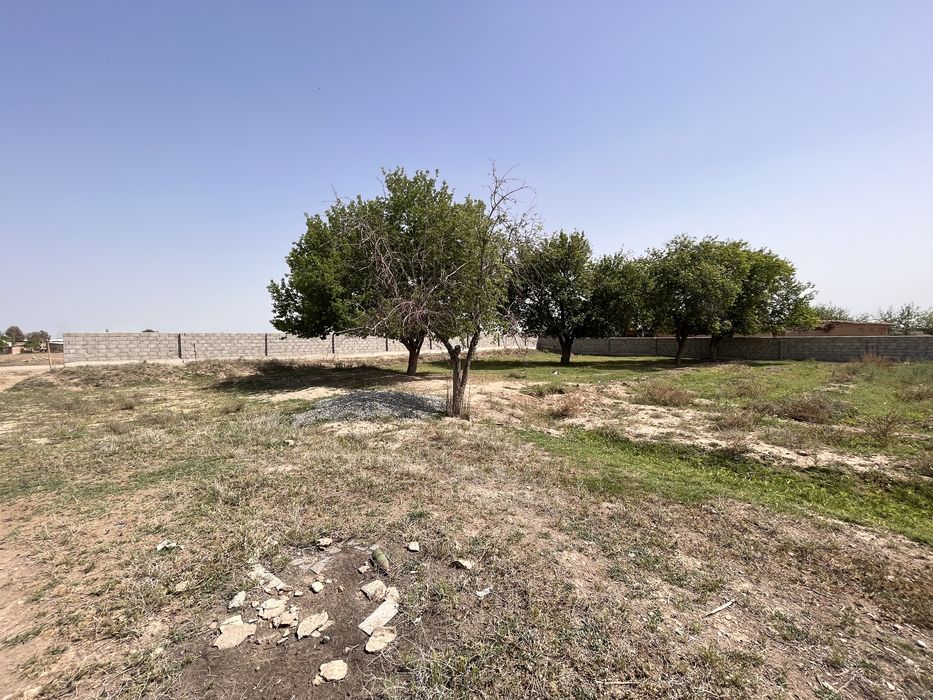 Kasbi tumanida yer sotiladi