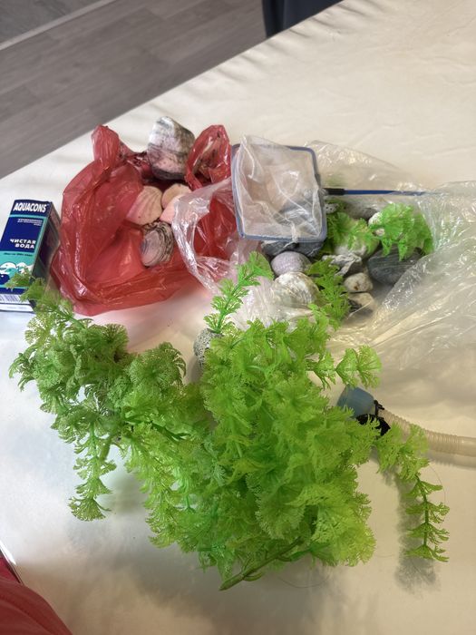 Аквариум большой