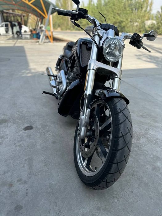 Harley-davidson v rod sotiladi