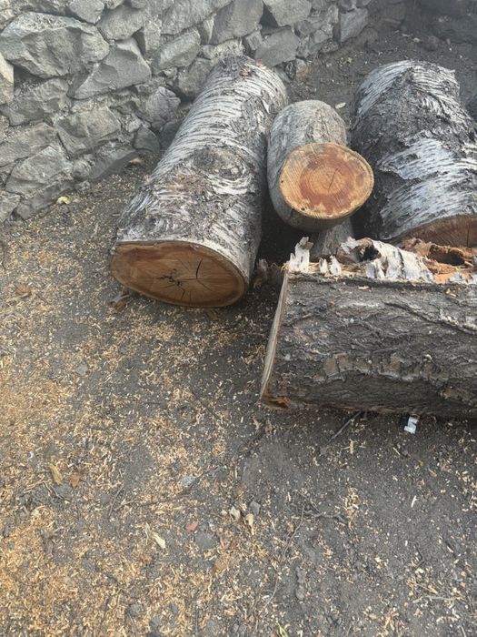 Дървен материал - череша