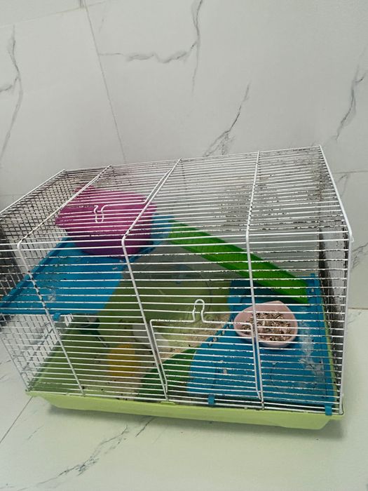 Продаю хомяк вместе с клеткой