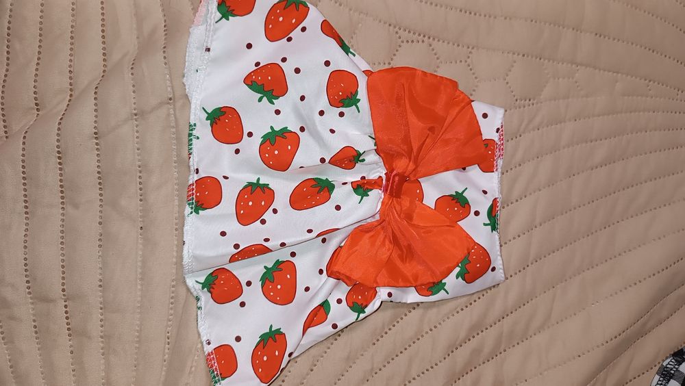 Дрехи за кученце