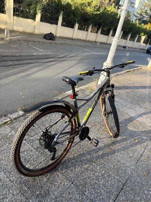 Bulls 27.5.