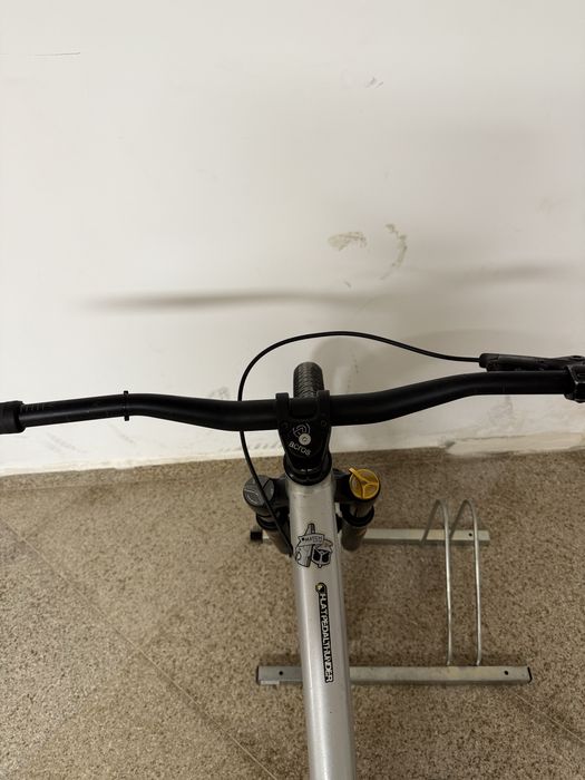 Canyon Stiched 360 Pro