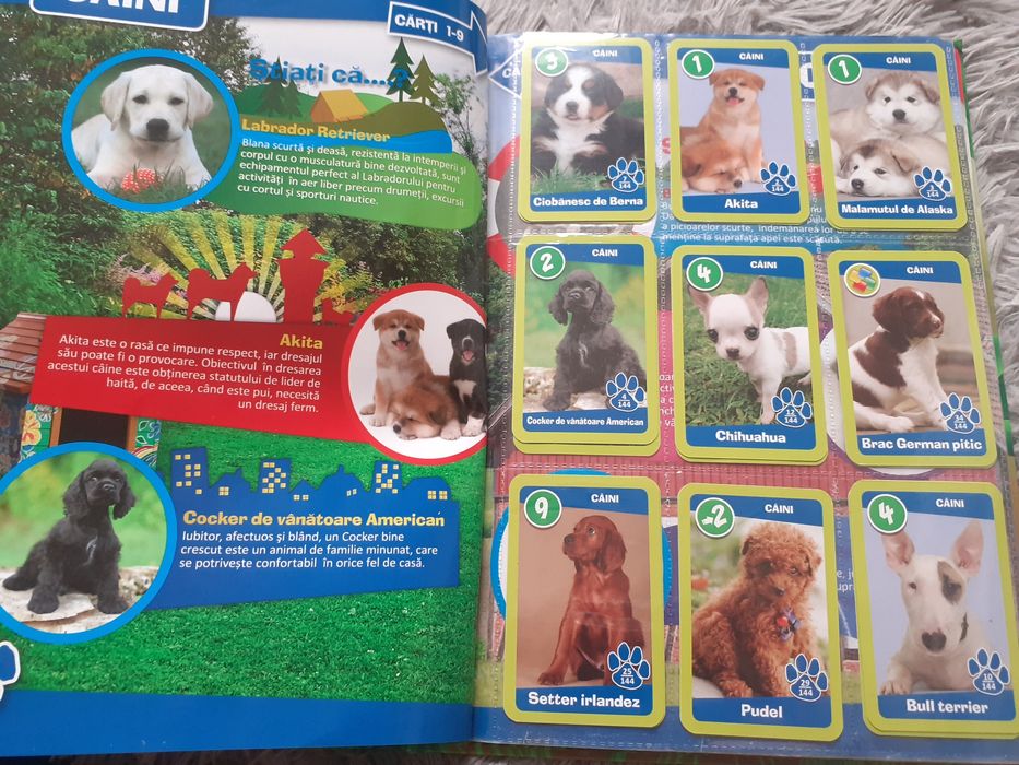 Gradinita de ANIMALE..clasor  editie 2015