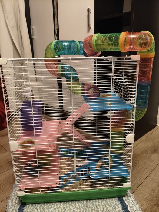 Cușcă pentru hamster+ un hamster pitic