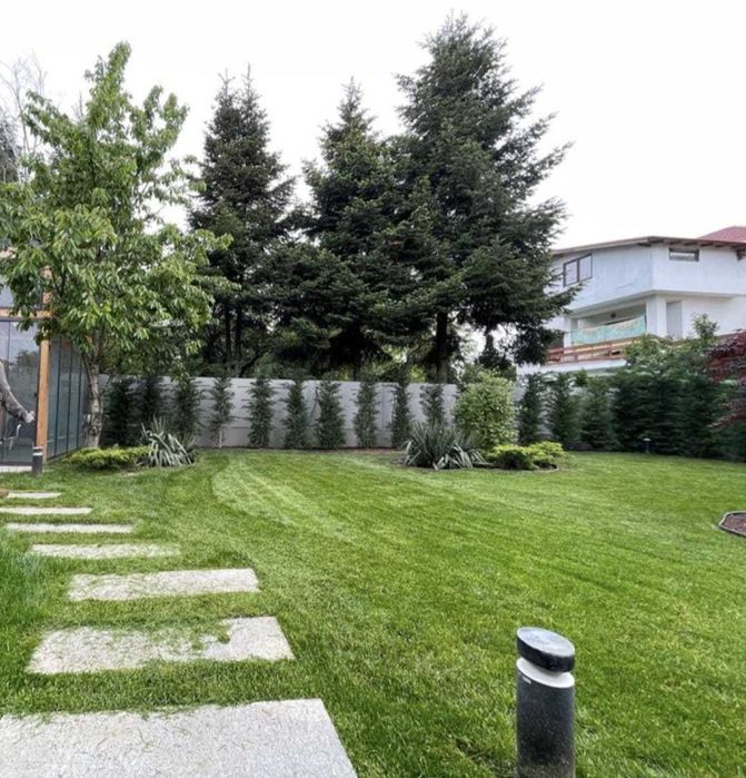 Amenajări grădini | Gazon | Irigații automate | Smart Garden