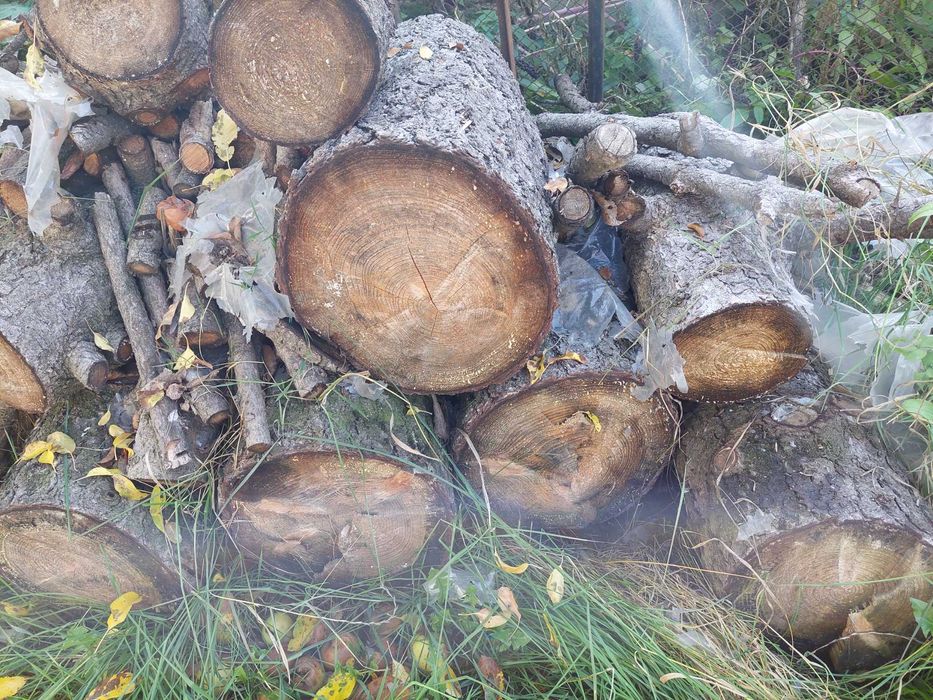 Борово дърво нарязано на метър