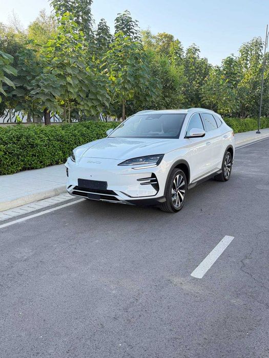 Byd Chempion Honor