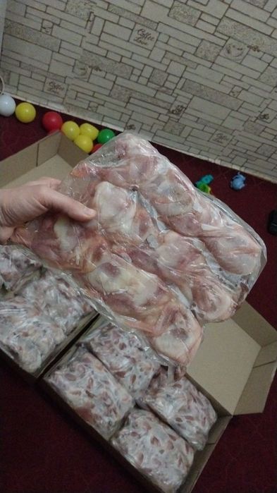 Bedana gusht.Bedana tuxum.shamoinion quziqorin bor