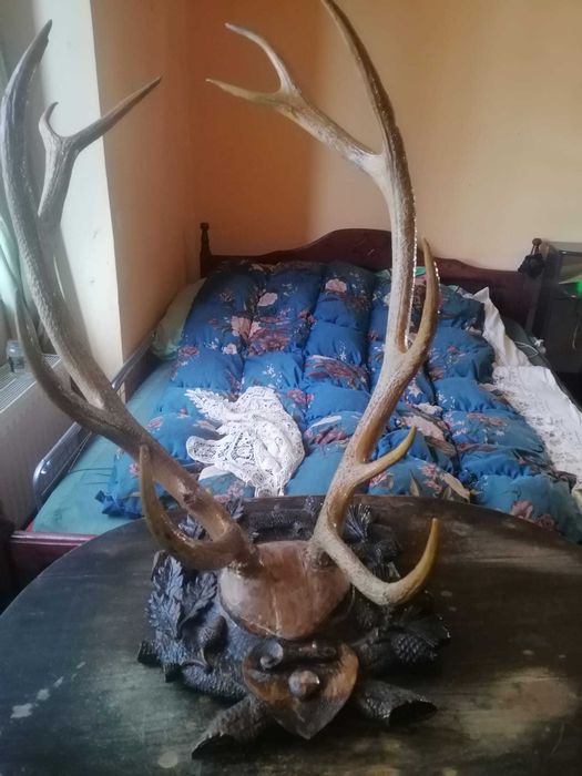 Coarne vechi cerb 1927