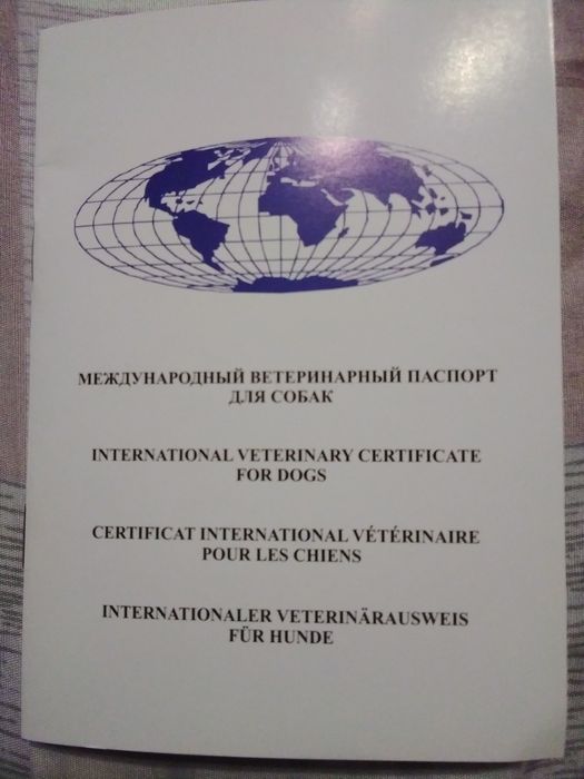 Алабай туркменский