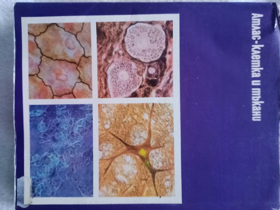 Атлас клетка и тъкани