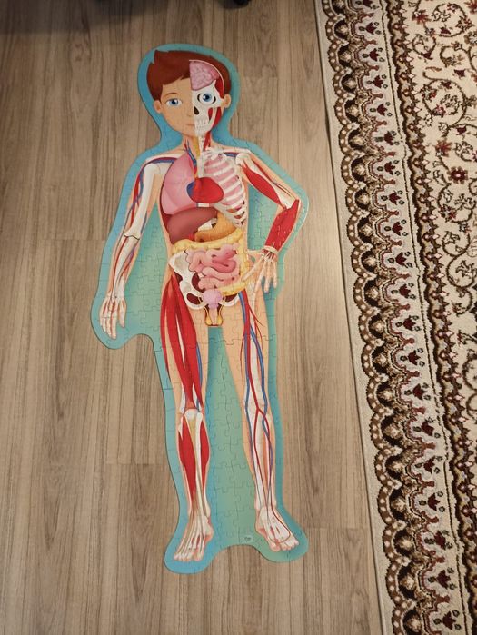 Игры настольные.