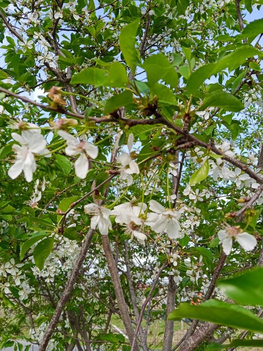 Летни душ 20.000 тг