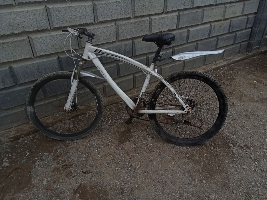 Велосипед 10к 2год