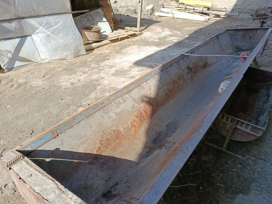 Кора моллар учун охур сотилади