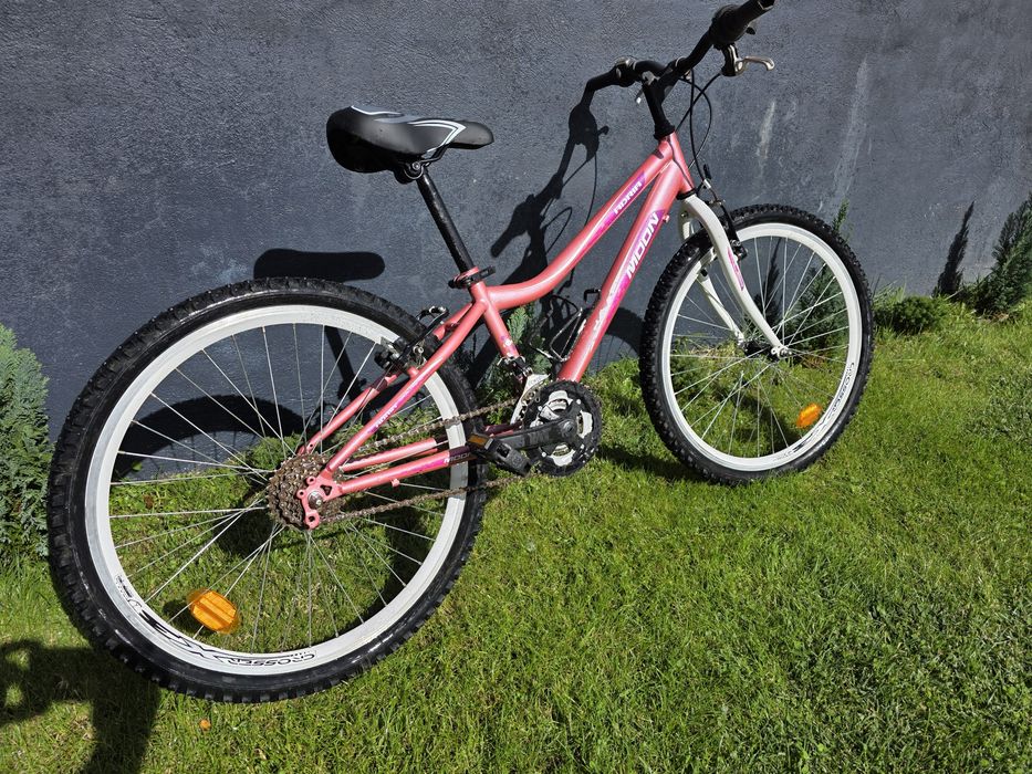 Bicicleta Adria Moon 24"
