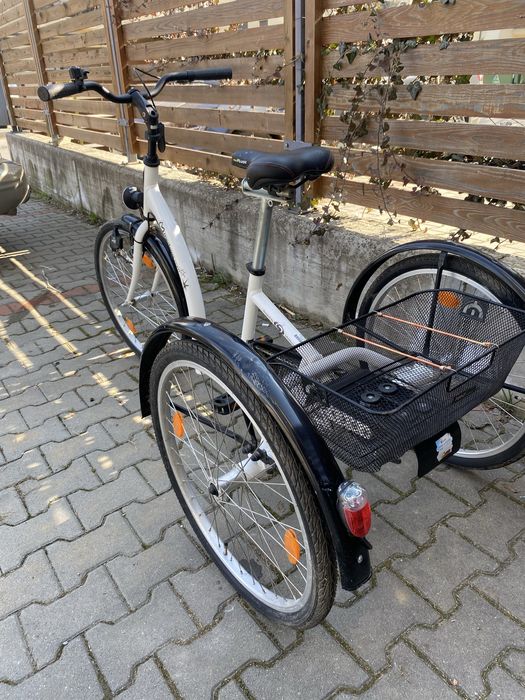 Tricicleta Terapeutica Schuchmann Momo