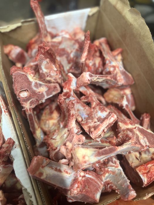 Фарш, мясо для собак