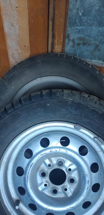 Зимнее шины Cardiant