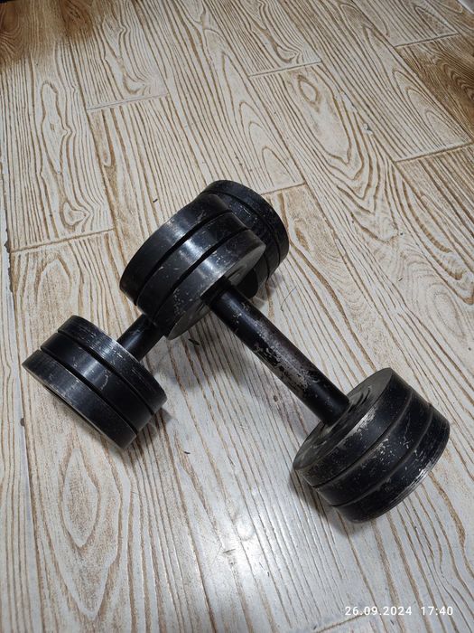 Гантели 2 штук  по 13,5 килограму