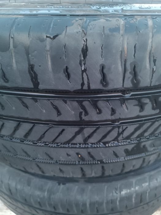 Шыны буу продам хорошом сос.