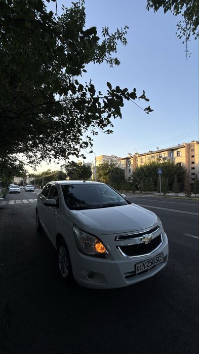 COBALT 2024 ideal