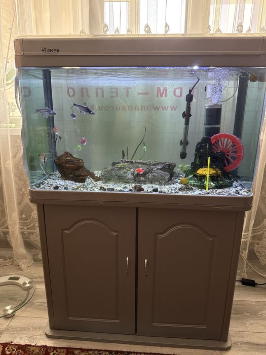 Аквариум с рыбками
