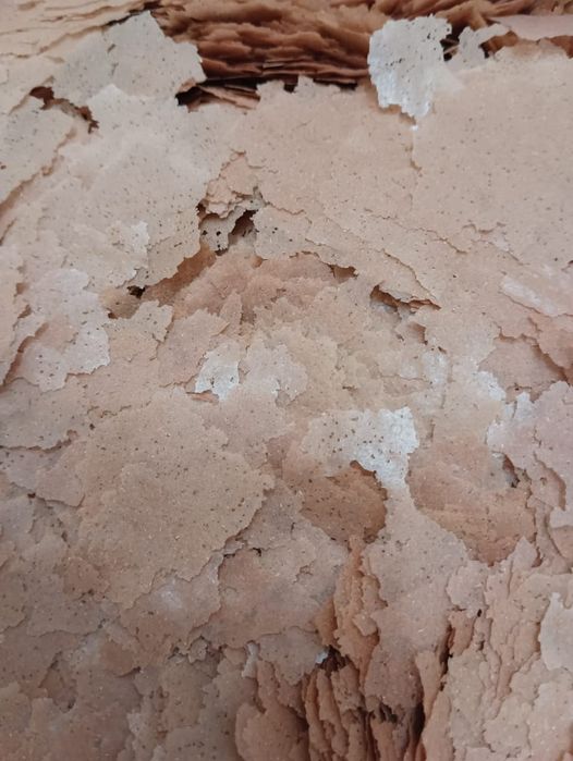 Разные корма для рыбок