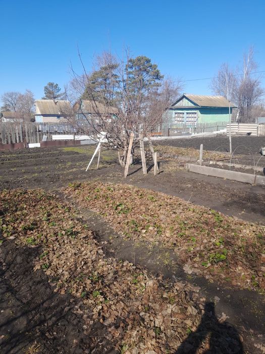 Продам дачу в Борках