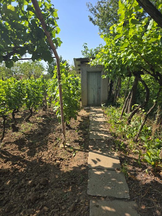 Продава се Къща в с. Калипетрово, Област Силистра - 45 кв.м за 680 €/кв.м - Снимка #23